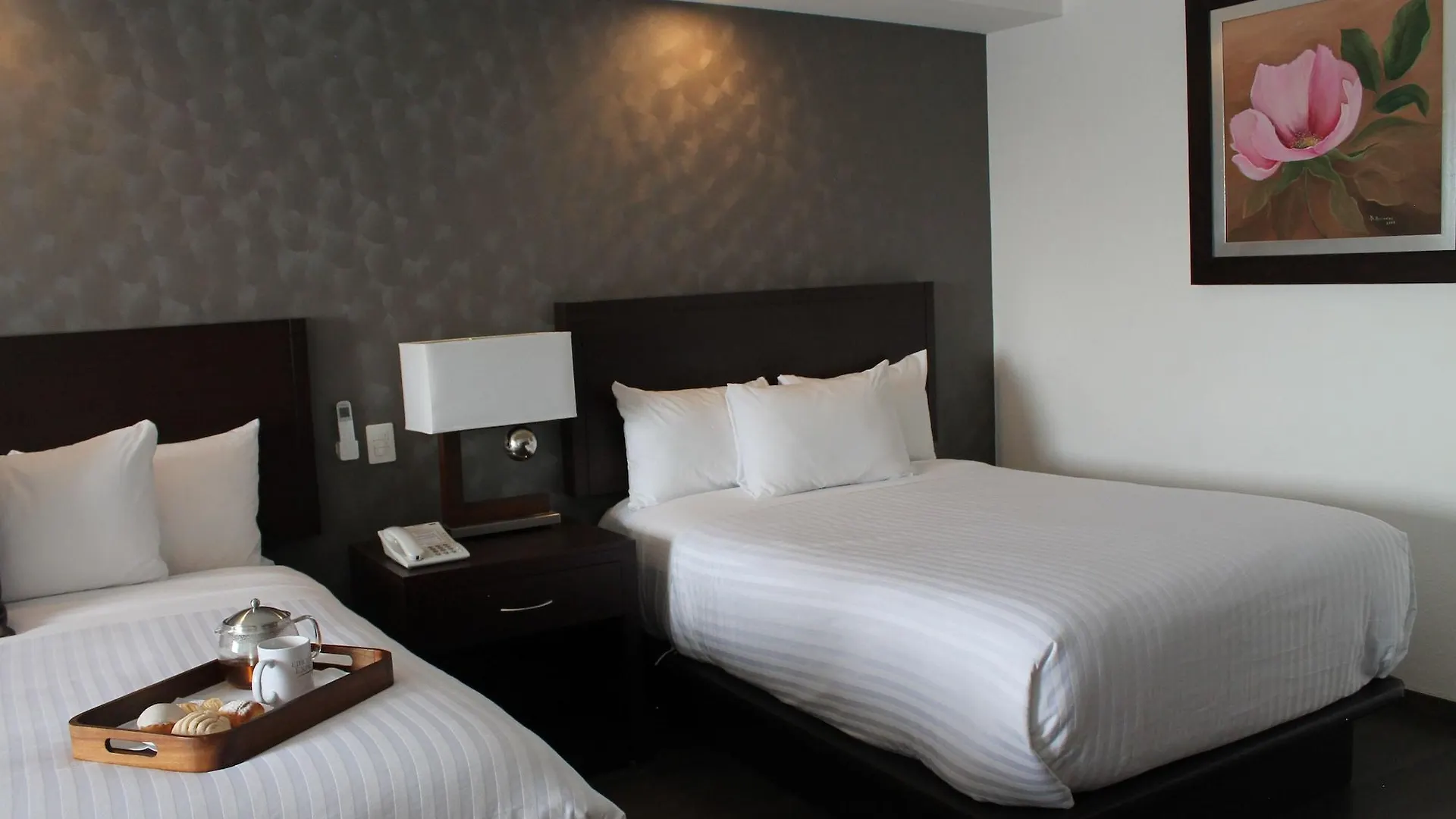Hotel Ejecutivo Express Guadalajara Providencia - Av Mexico 4*,  Meksyk