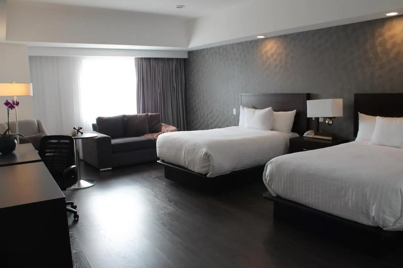 Ejecutivo Express Guadalajara Providencia - Av Mexico Hotel