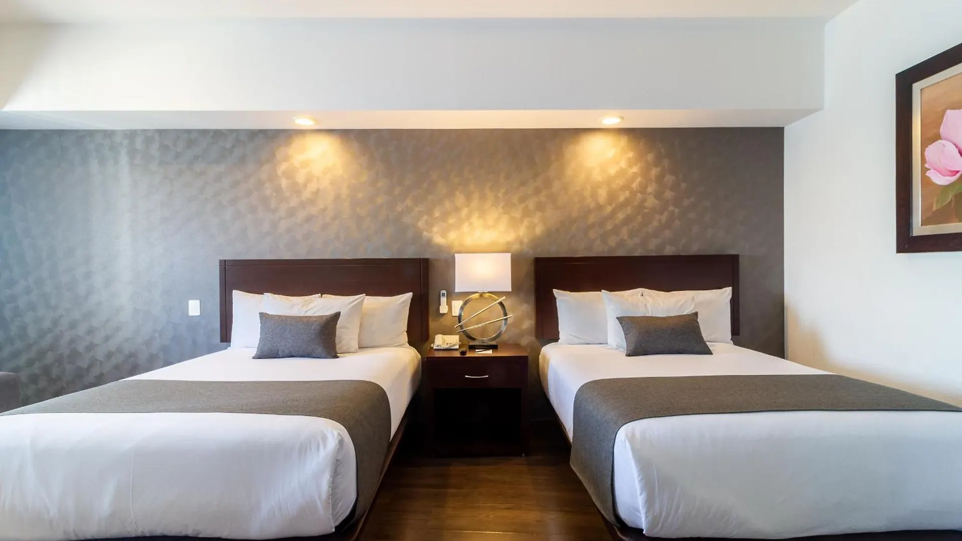 Hotel Ejecutivo Express Guadalajara